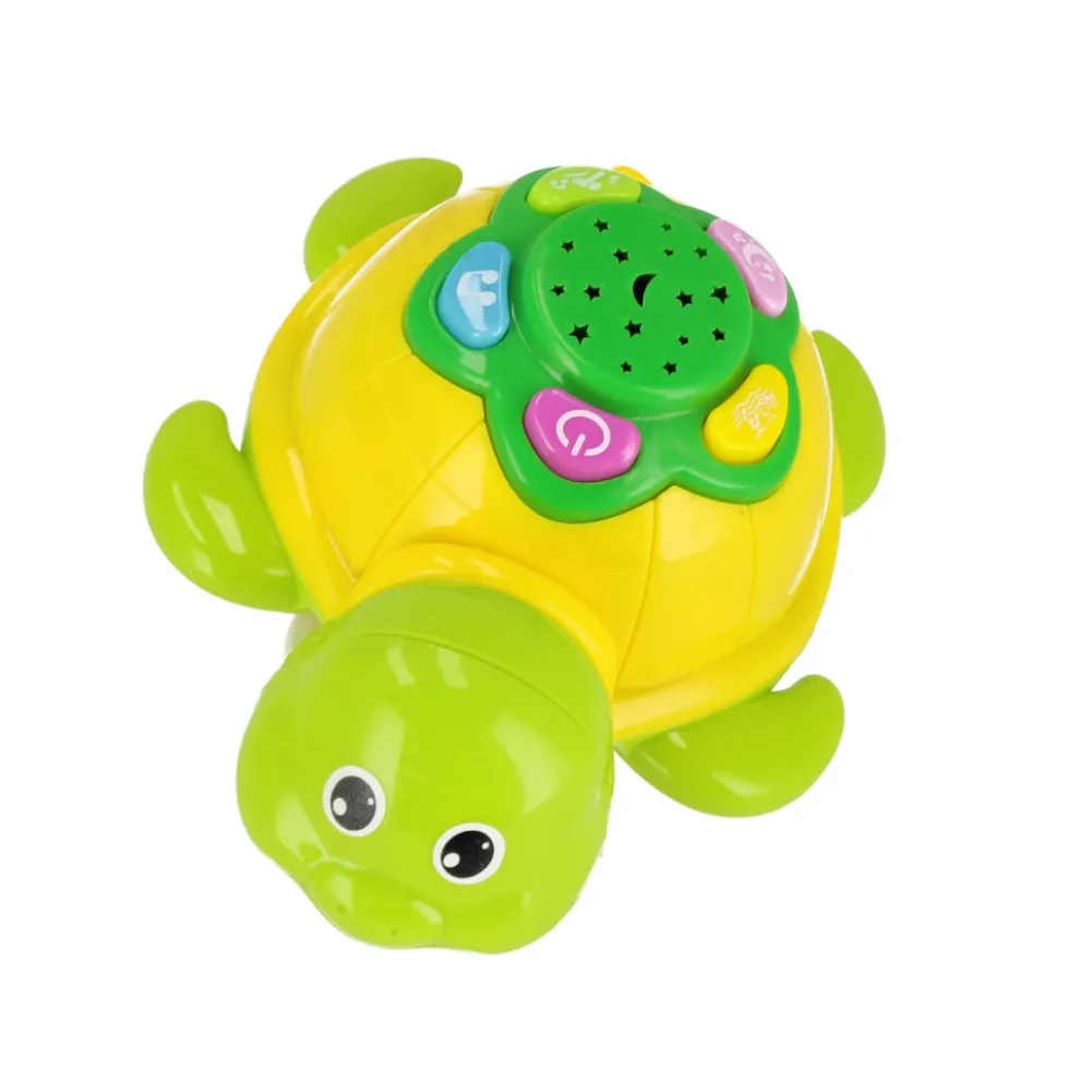 BamBam Funny Turtle lelu