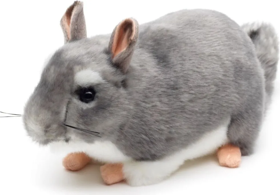 Chincilla pehmolelu 22cm