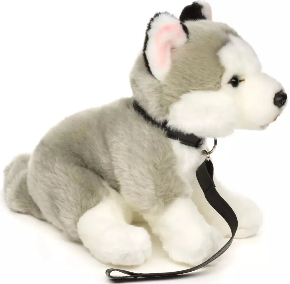 Husky koira pehmolelu 24cm