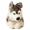 Husky koira pehmolelu 40cm