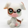 Littlest Pet Shop Bokseri pentu #738 - Second Hand