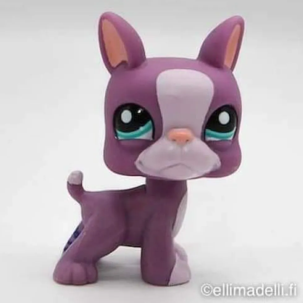 Littlest Petshop Bostoninterrieri #2229