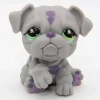 Littlest Petshop Bulldog koira #916