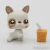 Littlest Petshop Bulldog vauva #2554