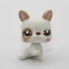 Littlest Petshop Bulldog vauva #2554