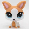Littlest Petshop Chihuahua #2072
