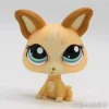 Littlest Petshop Chihuahua #1656