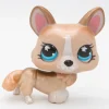 Littlest Petshop Corgi koira #871