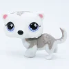 Littlest Petshop Fretti #569