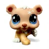 Littlest Pet Shop G7 karhu pentu #108