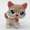 Littlest Pet Shop Husky koira #1012 - Second Hand