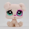 Littlest Petshop Jack Russell pentu #1534