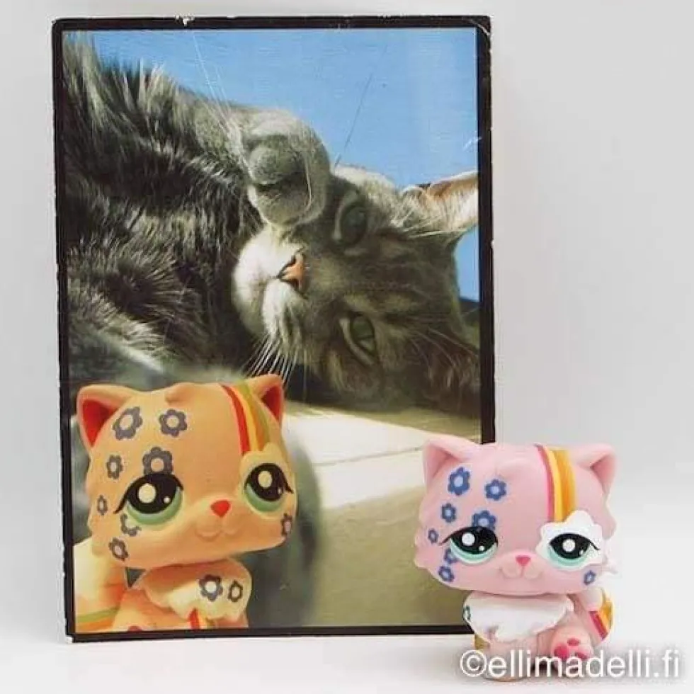 Littlest Petshop Kissa #1436