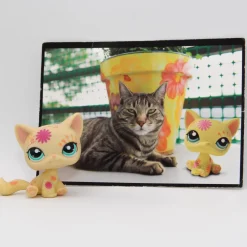 Littlest Petshop Kissa #1231