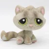 Littlest Petshop Kissa pentu #323