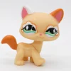 Littlest Petshop Kissa #626 - Second Hand