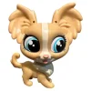 Littlest Pet Shop Perhoskoira #3996 - Second Hand