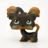 Littlest Petshop Shi Tsu koira #141