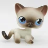Littlest Petshop Siamilainen Kissa #5