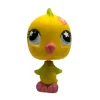 Littlest Pet Shop Undulaatti #595 - Second Hand