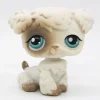 Littlest Petshop Villakoira #204