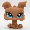 Littlest Petshop Yorkshiren terrieri #2004