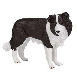 Mojo Border Collie
