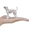 Mojo Dalmatian koira