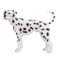 Mojo Dalmatian koira