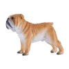 Mojo Englannin Bulldog koira