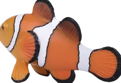 Mojo Klovnikala