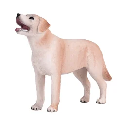 Mojo Labradorin koira