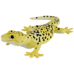 Mojo Leopardigekko