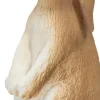 Mojo Pupu