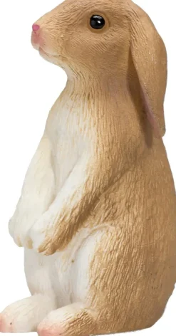 Mojo Pupu