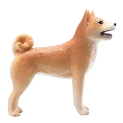 Mojo Shiba Inu koira vaalea