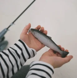 Nuuskamuikkusen kalastus leikki magneetilla ja 5 kalaa