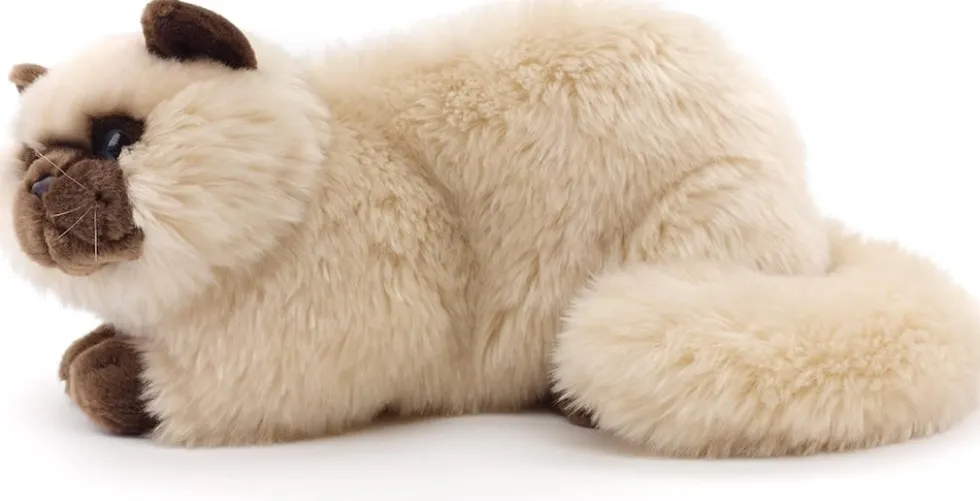 Persialainen / Siamilainen Kissa pehmolelu 31cm