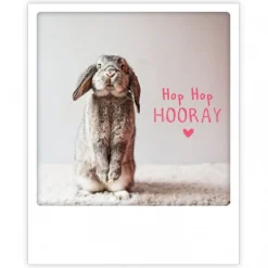 Pick Motion "Hop Hop Hooray" Pupu -kortti