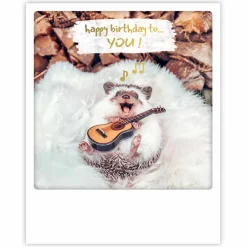Pick Motion Siili "Happy Birthday" -kortti