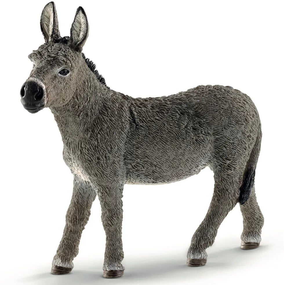 Schleich 13772 Aasi