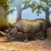 Schleich Afrikan musta sarvikuono 14193 - Second Hand