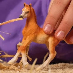 Schleich 13984 Arabi hevonen, varsa