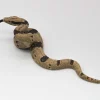 Schleich Boa käärme 14739 - Second Hand