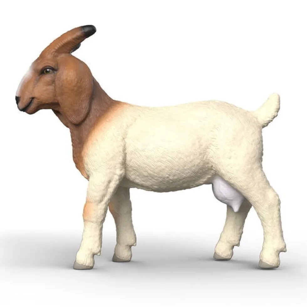 Schleich 14929 Boer vuohi