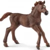 Schleich 13857 Englannin täysverinen varsa - Erikoiserä!
