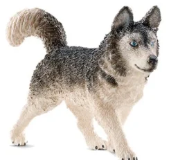 Schleich 16835 Husky koira - Erikoiserä!