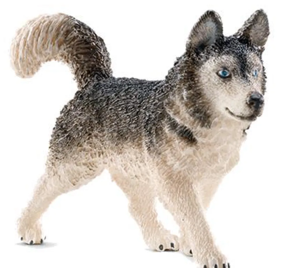 Schleich 16835 Husky koira - Erikoiserä!