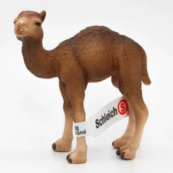 Schleich Kameli poikanen 14356 - Second Hand