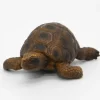 Schleich Kilpikonna 14404 - Second Hand